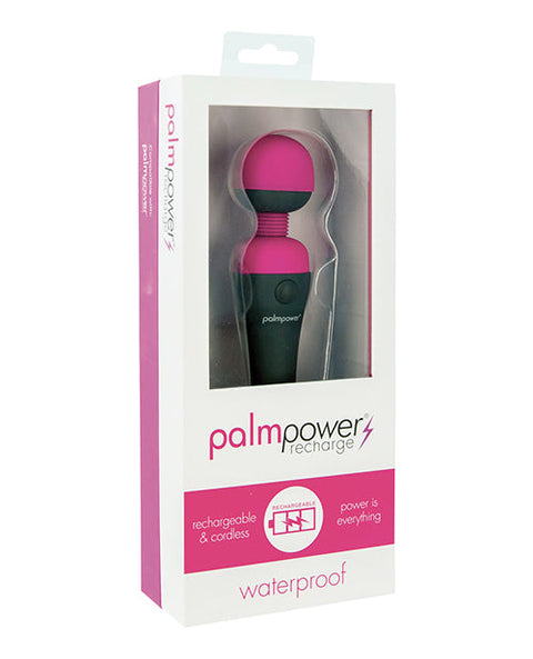 Palm Power