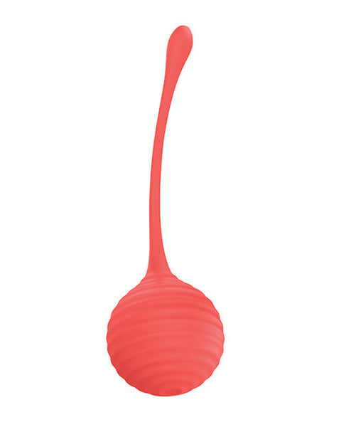 Luv Inc. Silicone Kegel Ball Set