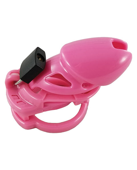 Locked In Lust The Vice Standard