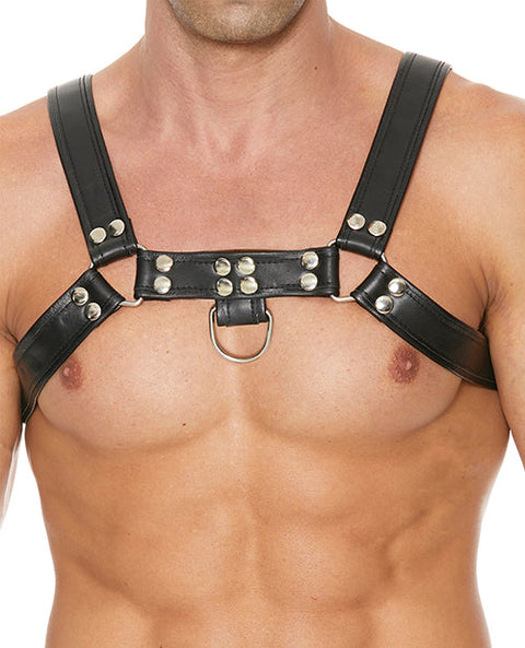 Shots Uomo Chest Bulldog Harness