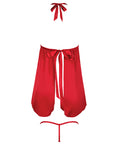 Jocelyn Lace & Satin Halter Mini Babydoll Dress w/Thong - Raspberry LG