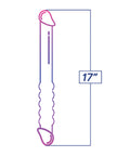 IBIC1307