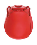 IBIC1700