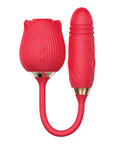 IBIC1702
