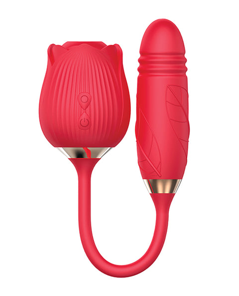IBIC1702