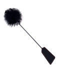 IBIC2531