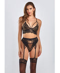 Everly Dot Mesh & Galloon Lace Strappy Bra, Garterbelt & Hipster Panty Black