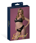 Rush Lace & Mesh Bra & Panty 2 Pc Set - Black