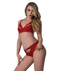 Rush Lace & Mesh Bra & Panty 2 Pc Set - Red