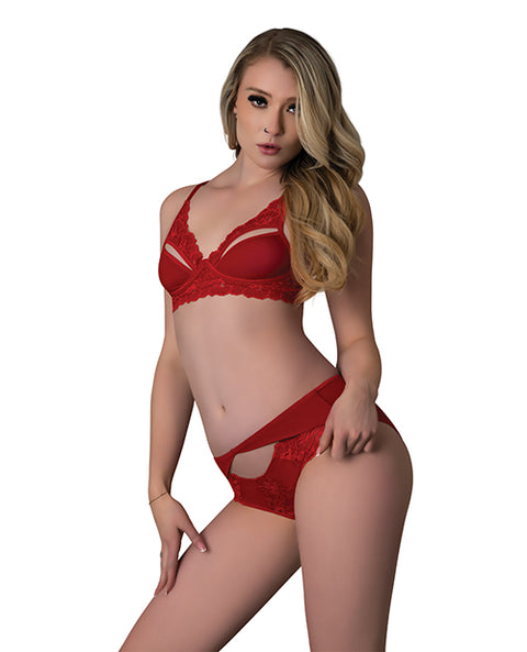 Rush Lace & Mesh Bra & Panty 2 Pc Set - Red