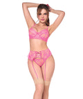 Sheer Lace Underwire Top W/Panty & Garter 3 Pc Set - Pink