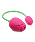 XRAG791