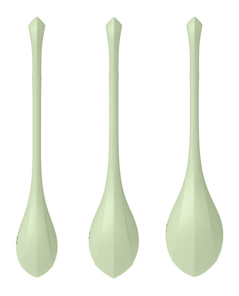 Satisfyer Yoni Power 2 Balls Training Set