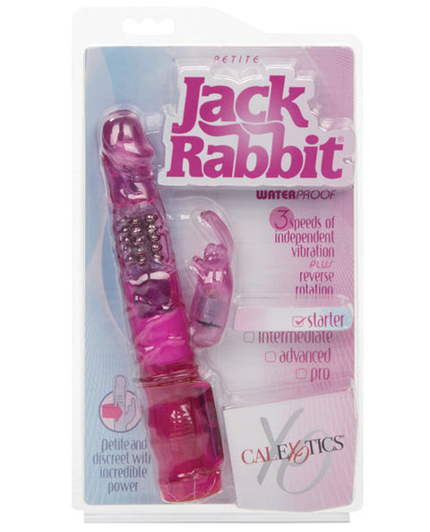 Jack Rabbit Petite