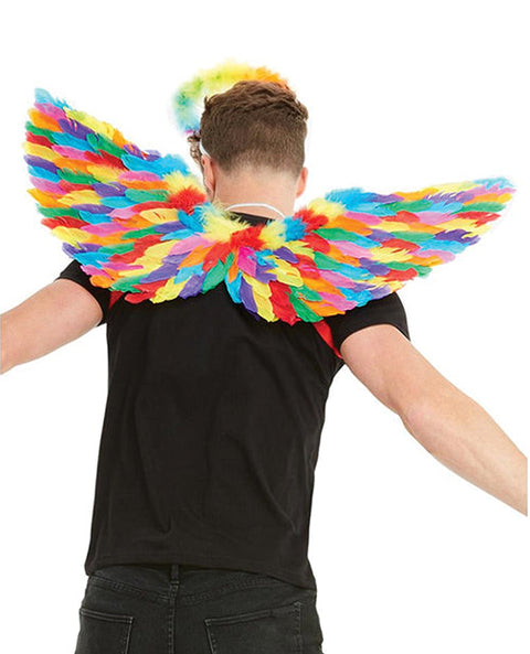 NO ETA=Rainbow Small Feather Wings